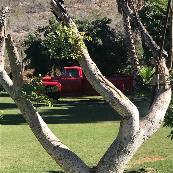 Meet your Posher, Virginia - Picture 4 of 7